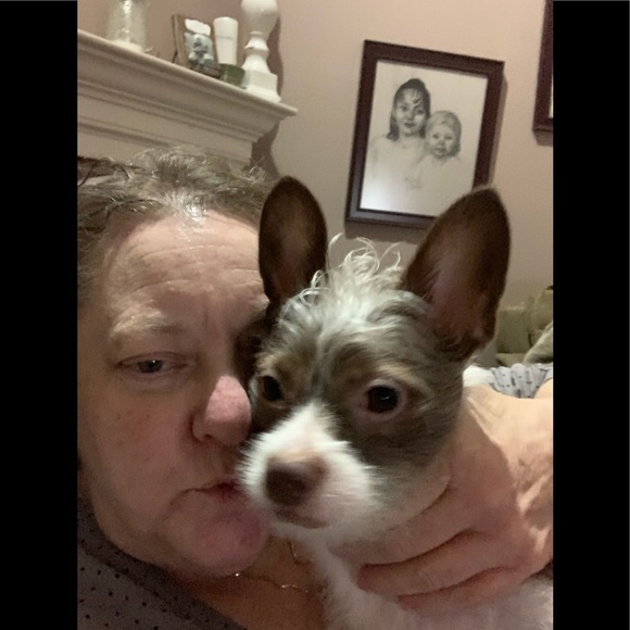 Meet your Posher, Chris - Picture 2 of 8